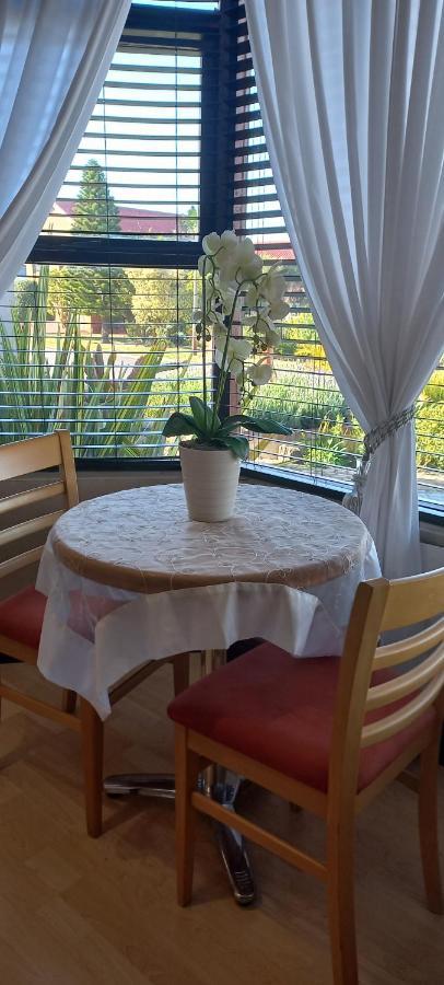 The Wooden Leg Guesthouse クレインモンド エクステリア 写真